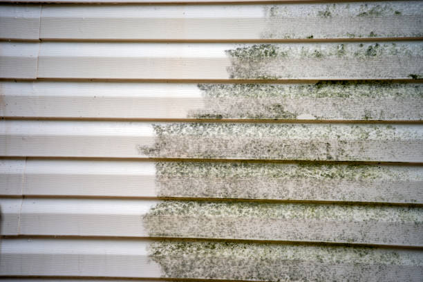 Affordable Siding Repair and Maintenance Services in Larch Way, WA